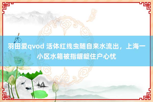 羽田爱qvod 活体红线虫随自来水流出，上海一小区水箱被指龌龊住户心忧