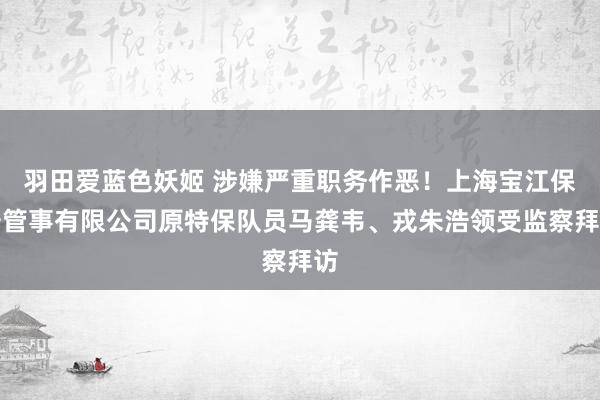 羽田爱蓝色妖姬 涉嫌严重职务作恶！上海宝江保安管事有限公司原特保队员马龚韦、戎朱浩领受监察拜访