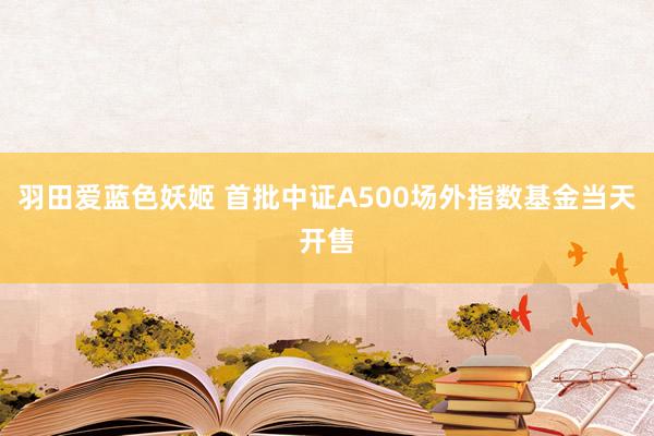 羽田爱蓝色妖姬 首批中证A500场外指数基金当天开售