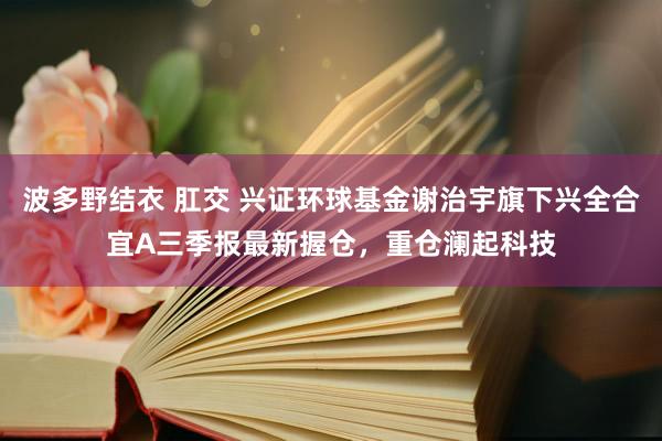 波多野结衣 肛交 兴证环球基金谢治宇旗下兴全合宜A三季报最新握仓，重仓澜起科技