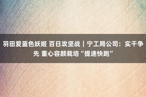 羽田爱蓝色妖姬 百日攻坚战｜宁工局公司：实干争先 重心容颜栽培“提速快跑”