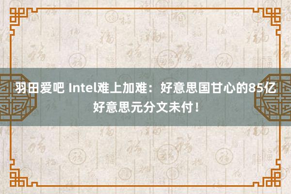 羽田爱吧 Intel难上加难：好意思国甘心的85亿好意思元分文未付！