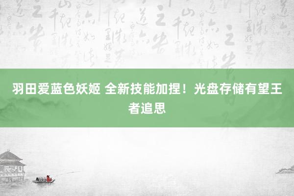 羽田爱蓝色妖姬 全新技能加捏！光盘存储有望王者追思