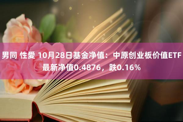 男同 性愛 10月28日基金净值：中原创业板价值ETF最新净值0.4876，跌0.16%