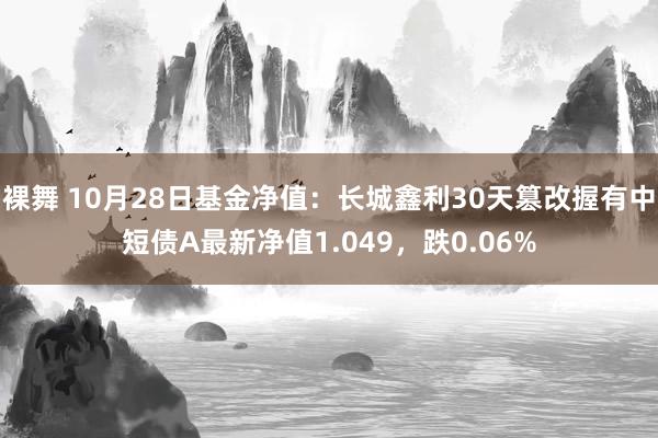 裸舞 10月28日基金净值：长城鑫利30天篡改握有中短债A最新净值1.049，跌0.06%