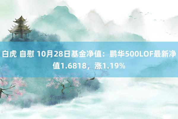 白虎 自慰 10月28日基金净值：鹏华500LOF最新净值1.6818，涨1.19%