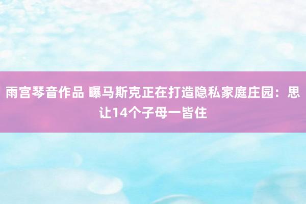 雨宫琴音作品 曝马斯克正在打造隐私家庭庄园：思让14个子母一皆住