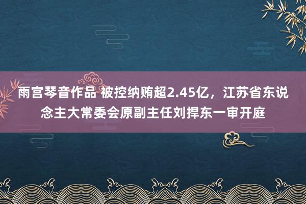 雨宫琴音作品 被控纳贿超2.45亿，江苏省东说念主大常委会原副主任刘捍东一审开庭