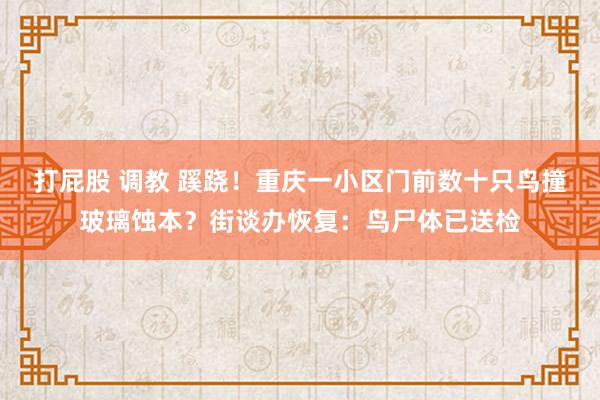 打屁股 调教 蹊跷！重庆一小区门前数十只鸟撞玻璃蚀本？街谈办恢复：鸟尸体已送检