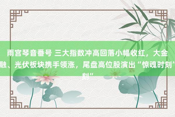 雨宫琴音番号 三大指数冲高回落小幅收红，大金融、光伏板块携手领涨，尾盘高位股演出“惊魂时刻”