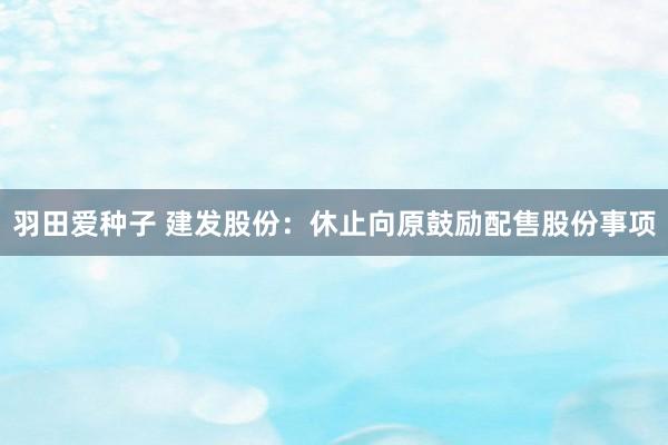 羽田爱种子 建发股份：休止向原鼓励配售股份事项