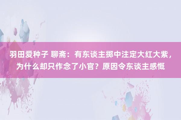 羽田爱种子 聊斋：有东谈主掷中注定大红大紫，为什么却只作念了小官？原因令东谈主感慨