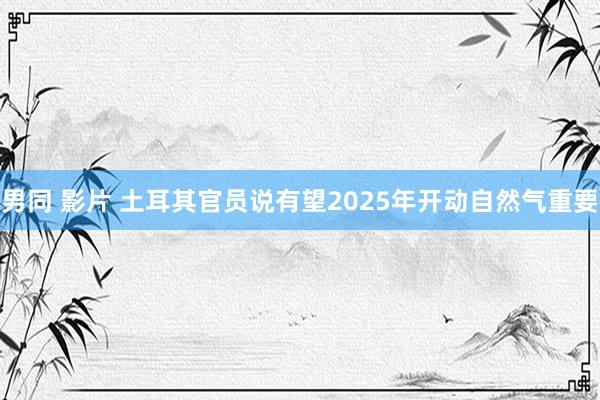 男同 影片 土耳其官员说有望2025年开动自然气重要