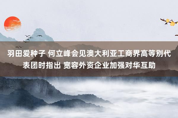 羽田爱种子 何立峰会见澳大利亚工商界高等别代表团时指出 宽容外资企业加强对华互助