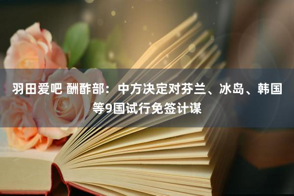 羽田爱吧 酬酢部：中方决定对芬兰、冰岛、韩国等9国试行免签计谋