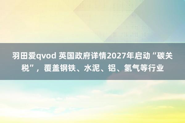 羽田爱qvod 英国政府详情2027年启动“碳关税”，覆盖钢铁、水泥、铝、氢气等行业