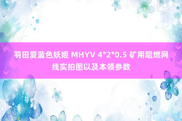 羽田爱蓝色妖姬 MHYV 4*2*0.5 矿用阻燃网线实拍图以及本领参数