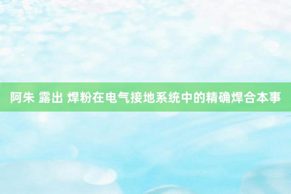 阿朱 露出 焊粉在电气接地系统中的精确焊合本事