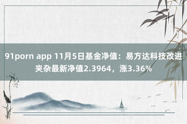 91porn app 11月5日基金净值：易方达科技改进夹杂最新净值2.3964，涨3.36%