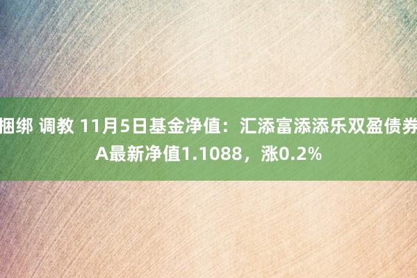 捆绑 调教 11月5日基金净值：汇添富添添乐双盈债券A最新净值1.1088，涨0.2%