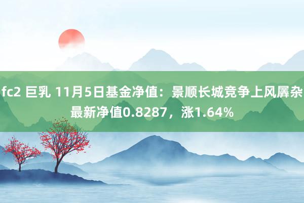 fc2 巨乳 11月5日基金净值：景顺长城竞争上风羼杂最新净值0.8287，涨1.64%