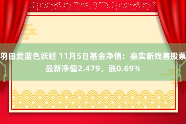 羽田爱蓝色妖姬 11月5日基金净值：嘉实新残害股票最新净值2.479，涨0.69%