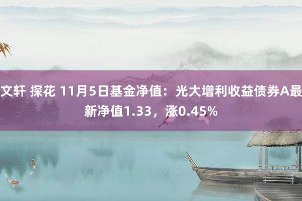 文轩 探花 11月5日基金净值：光大增利收益债券A最新净值1.33，涨0.45%