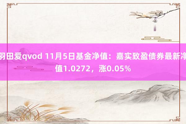 羽田爱qvod 11月5日基金净值：嘉实致盈债券最新净值1.0272，涨0.05%