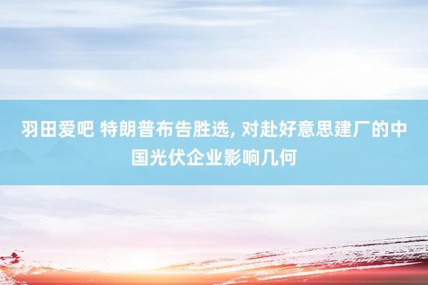 羽田爱吧 特朗普布告胜选， 对赴好意思建厂的中国光伏企业影响几何