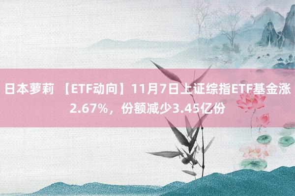 日本萝莉 【ETF动向】11月7日上证综指ETF基金涨2.67%，份额减少3.45亿份