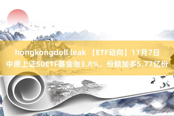 hongkongdoll leak 【ETF动向】11月7日中原上证50ETF基金涨3.8%，份额加多5.77亿份