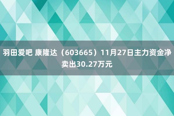 羽田爱吧 康隆达（603665）11月27日主力资金净卖出30.27万元