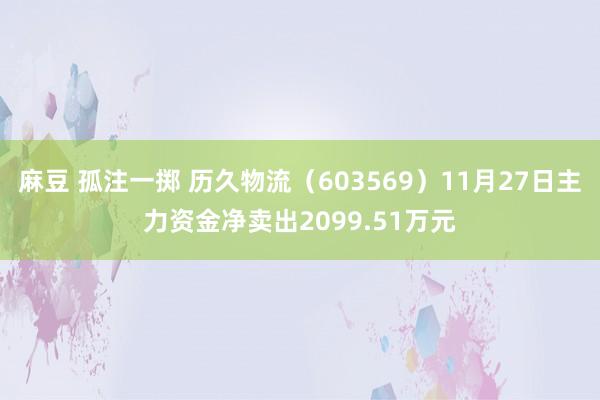 麻豆 孤注一掷 历久物流（603569）11月27日主力资金净卖出2099.51万元