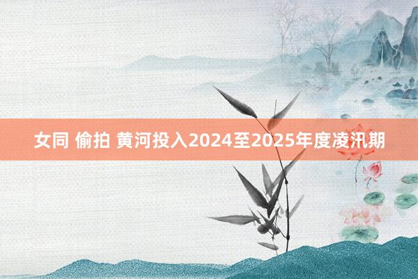 女同 偷拍 黄河投入2024至2025年度凌汛期