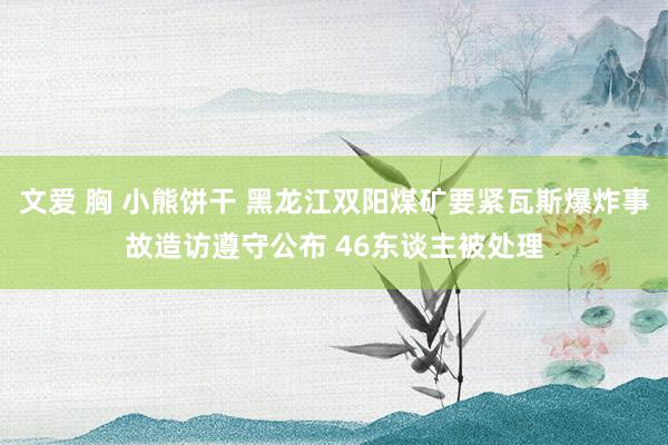 文爱 胸 小熊饼干 黑龙江双阳煤矿要紧瓦斯爆炸事故造访遵守公布 46东谈主被处理