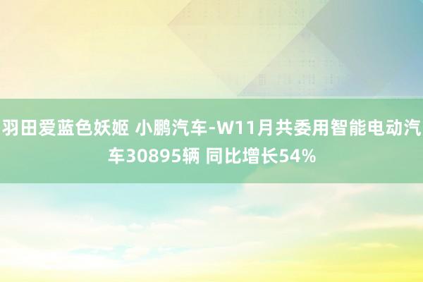 羽田爱蓝色妖姬 小鹏汽车-W11月共委用智能电动汽车30895辆 同比增长54%