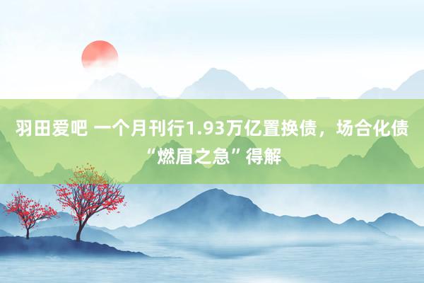 羽田爱吧 一个月刊行1.93万亿置换债，场合化债“燃眉之急”得解