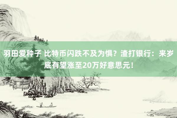 羽田爱种子 比特币闪跌不及为惧？渣打银行：来岁底有望涨至20万好意思元！