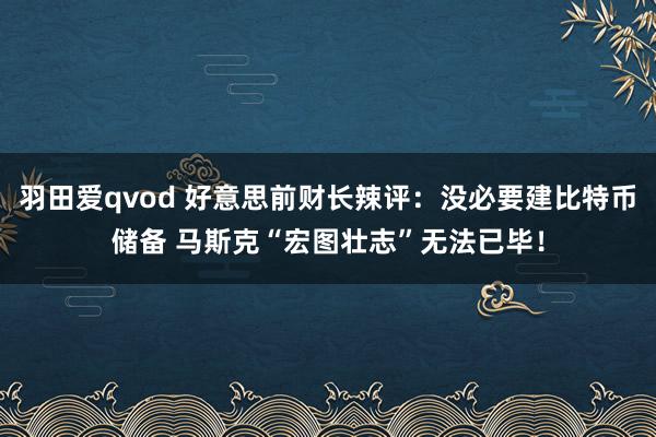 羽田爱qvod 好意思前财长辣评：没必要建比特币储备 马斯克“宏图壮志”无法已毕！