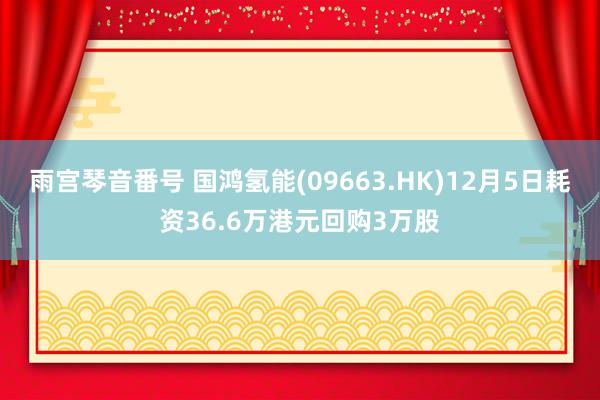 雨宫琴音番号 国鸿氢能(09663.HK)12月5日耗资36.6万港元回购3万股