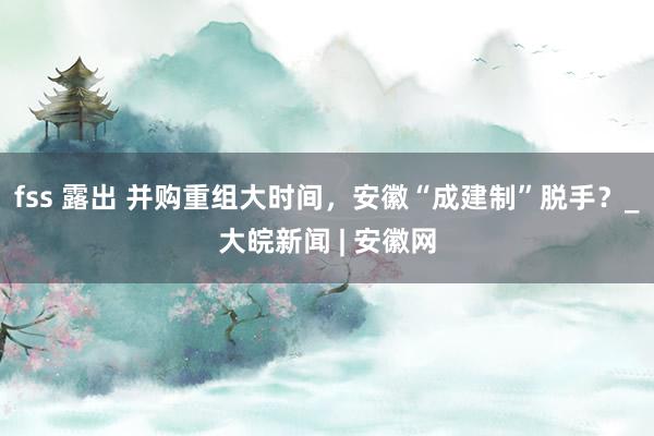 fss 露出 并购重组大时间，安徽“成建制”脱手？_大皖新闻 | 安徽网