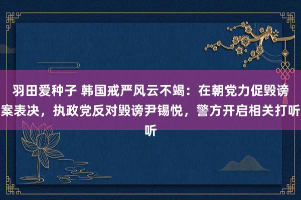 羽田爱种子 韩国戒严风云不竭：在朝党力促毁谤案表决，执政党反对毁谤尹锡悦，警方开启相关打听