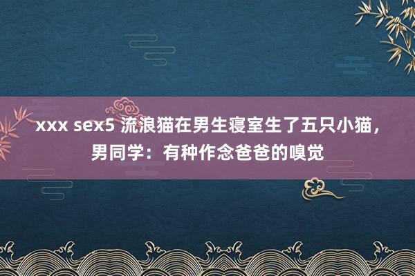 xxx sex5 流浪猫在男生寝室生了五只小猫，男同学：有种作念爸爸的嗅觉