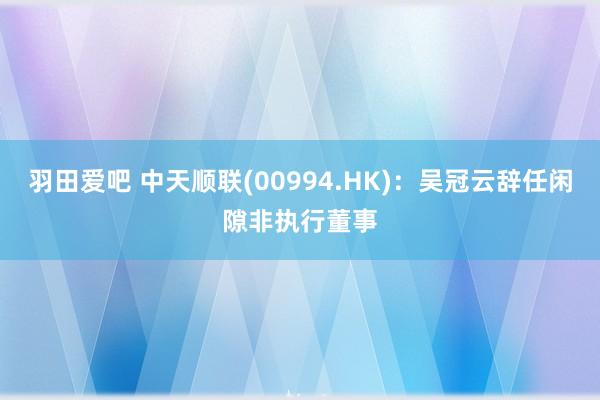 羽田爱吧 中天顺联(00994.HK)：吴冠云辞任闲隙非执行董事