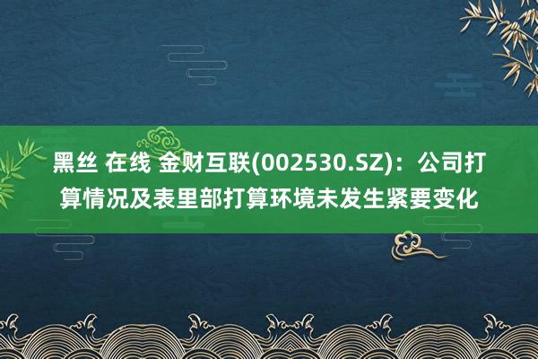 黑丝 在线 金财互联(002530.SZ)：公司打算情况及表里部打算环境未发生紧要变化