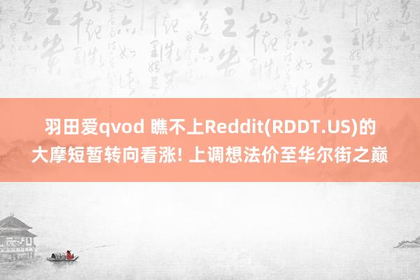 羽田爱qvod 瞧不上Reddit(RDDT.US)的大摩短暂转向看涨! 上调想法价至华尔街之巅