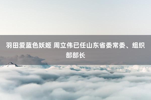 羽田爱蓝色妖姬 周立伟已任山东省委常委、组织部部长