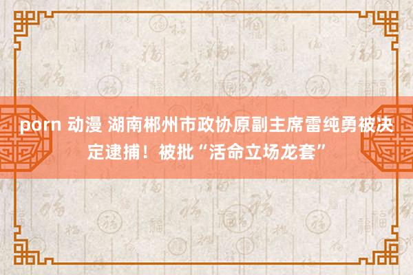 porn 动漫 湖南郴州市政协原副主席雷纯勇被决定逮捕！被批“活命立场龙套”