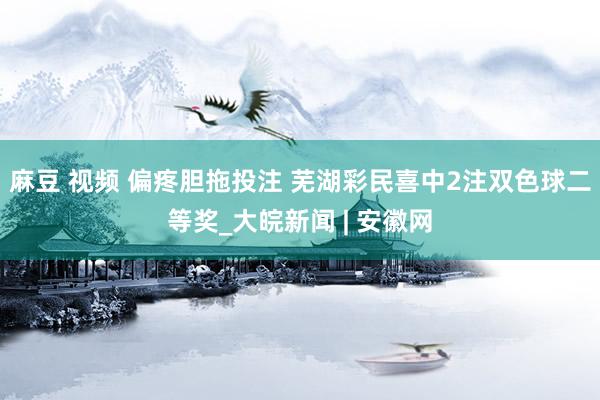 麻豆 视频 偏疼胆拖投注 芜湖彩民喜中2注双色球二等奖_大皖新闻 | 安徽网