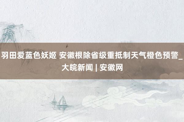 羽田爱蓝色妖姬 安徽根除省级重抵制天气橙色预警_大皖新闻 | 安徽网